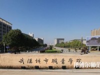 武漢城市職業(yè)師范學院2023年是幾專