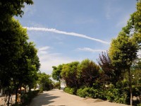 成都華夏旅游商務(wù)幼兒師范學(xué)校2023年招生計劃