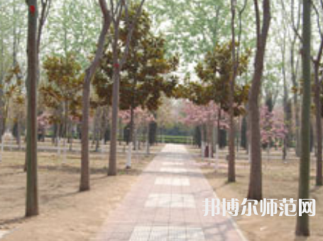 濮陽職業(yè)技術師范學院2023年報名條件、招生要求、招生對象