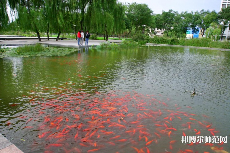 濰坊科技師范學(xué)院2023年怎么樣、好不好 