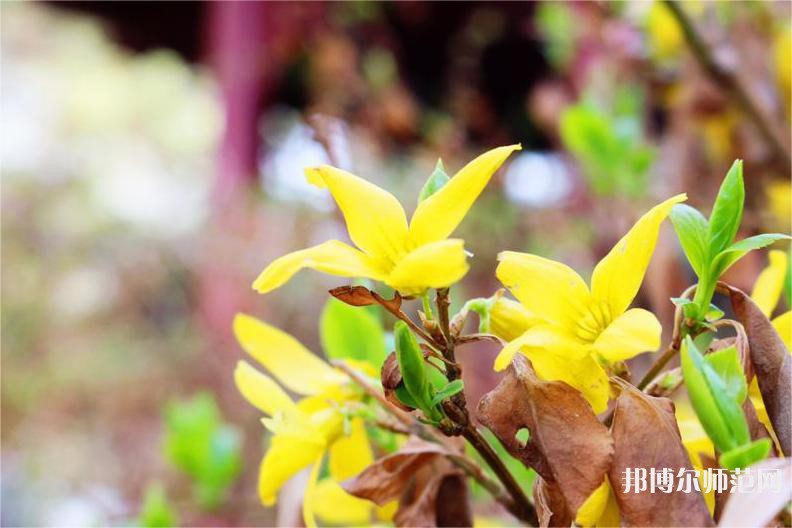 長(zhǎng)春理工師范大學(xué)2023年怎么樣、好不好