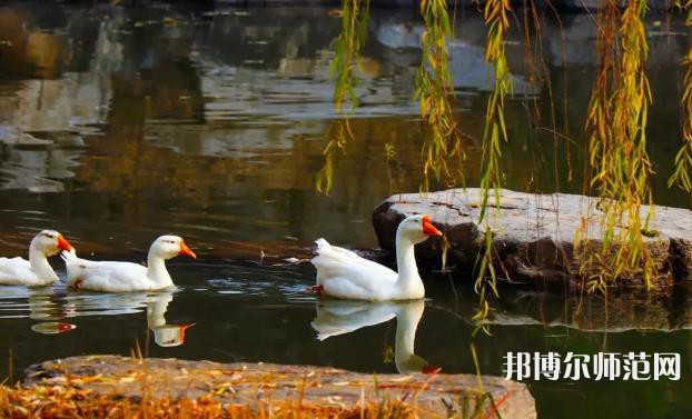 山東財經(jīng)師范大學萊蕪校區(qū)2023年報名條件、招生要求、招生對象 