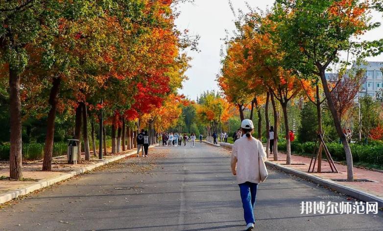 山東財經(jīng)師范大學(xué)明水校區(qū)2023年招生代碼 