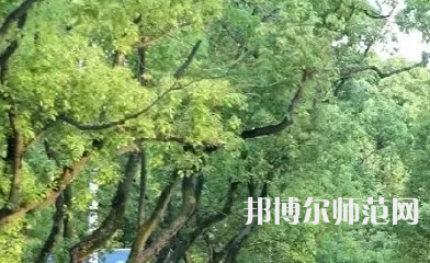 湖南理工師范學(xué)院南湖學(xué)院2023年報名條件、招生要求、招生對象