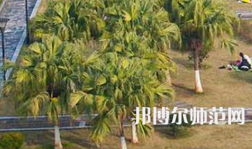 南華師范大學(xué)紅湘校區(qū)2023年招生代碼