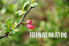 西安幼兒師范職業(yè)學(xué)校2023年學(xué)費、收費多少