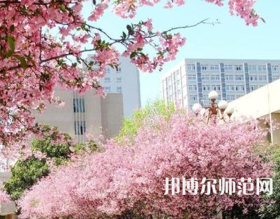 中國(guó)礦業(yè)師范大學(xué)徐海學(xué)院2023年報(bào)名條件、招生要求、招生對(duì)象