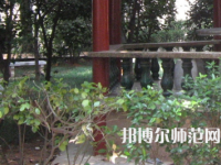 湖南師范大學(xué)樹達(dá)學(xué)院2023年有哪些專業(yè)