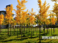 瀘州啟明幼師職業(yè)技術(shù)學(xué)校2023年怎么樣、好不好