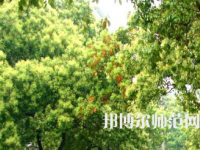 衡陽(yáng)師范學(xué)院南岳學(xué)院2023年怎么樣、好不好