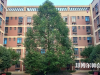 四川師范大學(xué)成都學(xué)院眉山校區(qū)2023年怎么樣、好不好